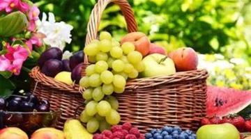 أسعار الفاكهة في سوق العبور الأحد 19-10-2025 وتغيراتها وتأثيرها على المستهلكين